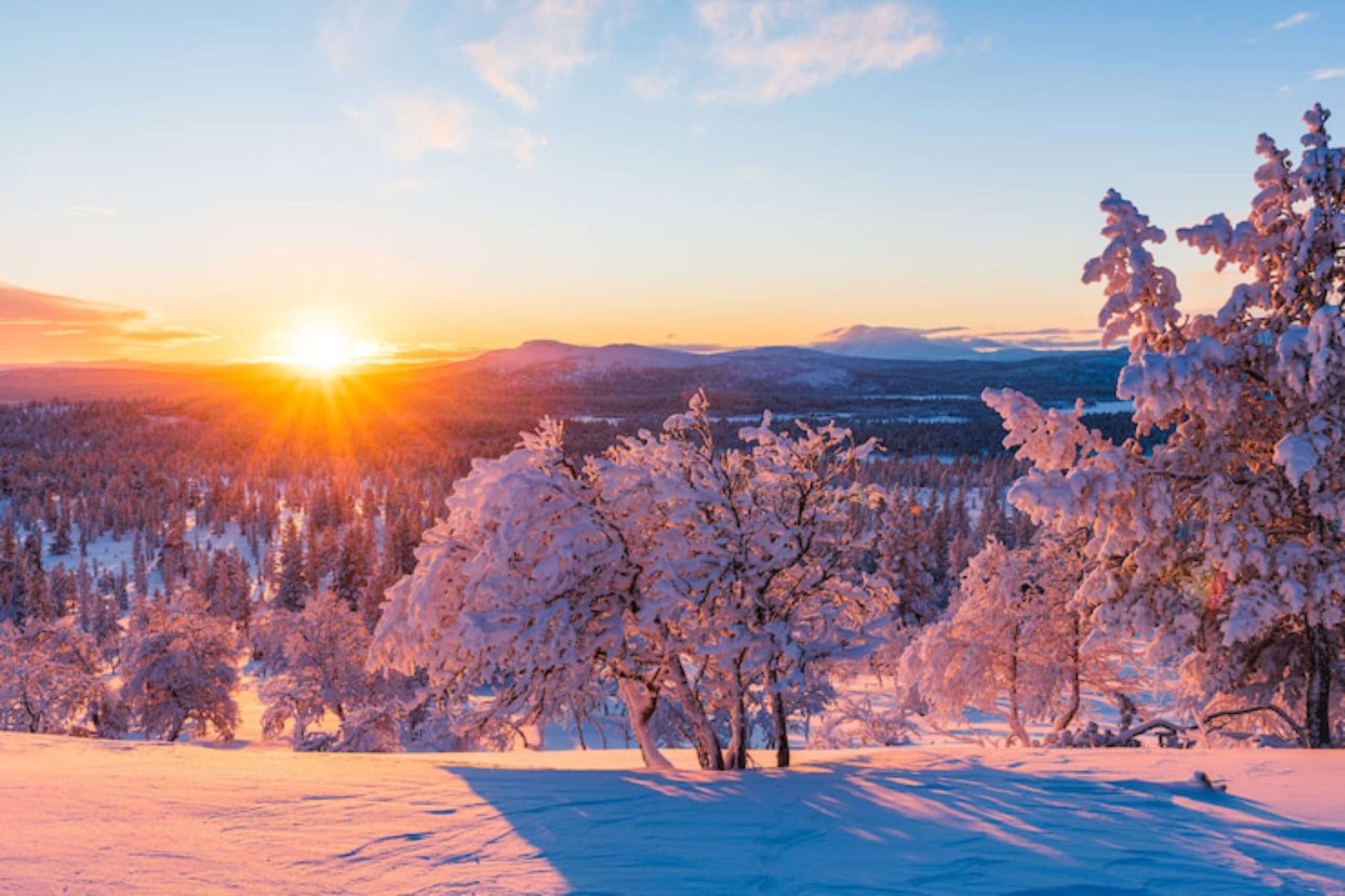 A serene winter landscape at sunrise, featuring snow-covered trees and mountains bathed in warm golden light.