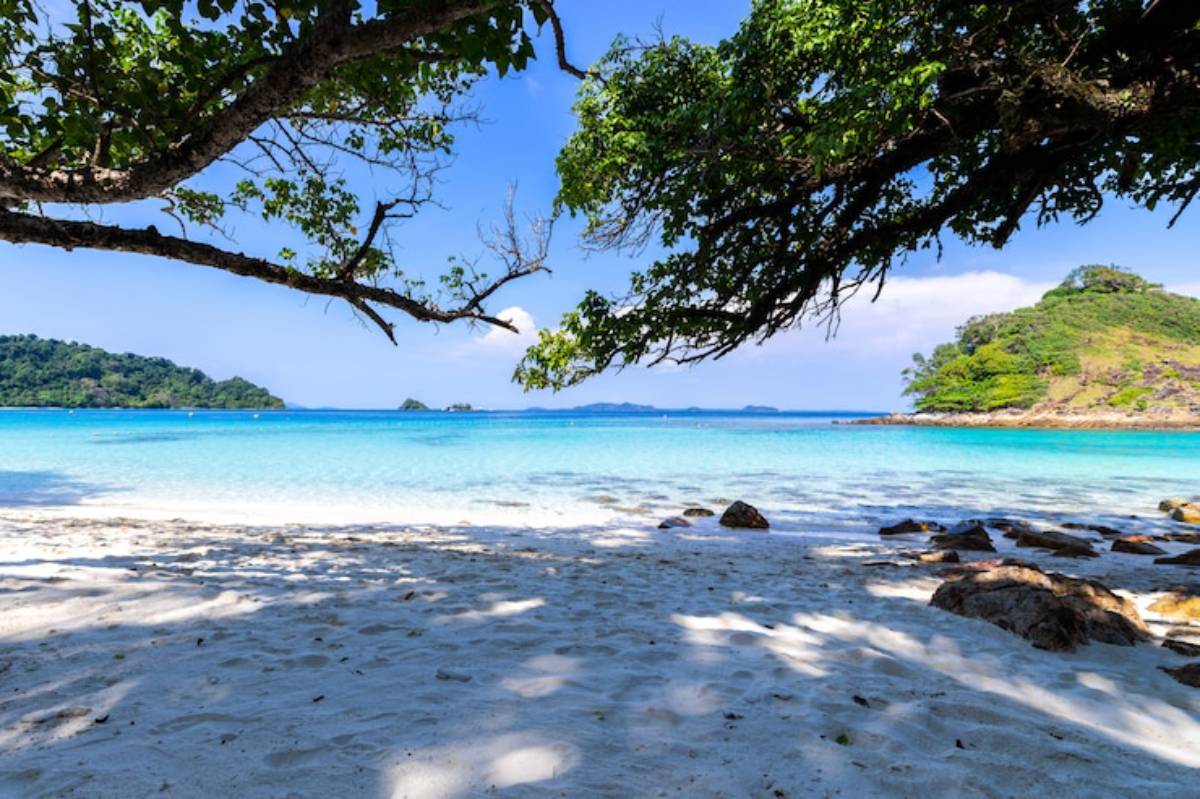 A serene beach view framed by tree branches, featuring turquoise waters, white sand, and distant islands under a clear blue sky.