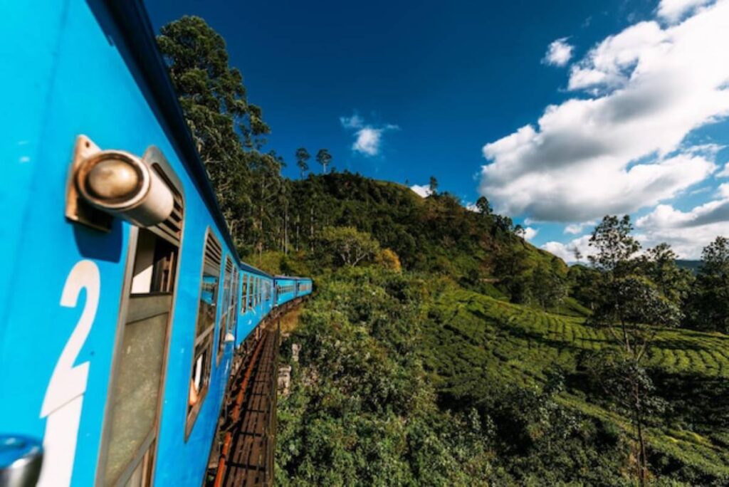A blue train curves along a lush green hillside, surrounded by tea plantations under a bright blue sky with fluffy white clouds.