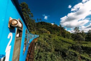 A blue train curves along a lush green hillside, surrounded by tea plantations under a bright blue sky with fluffy white clouds.