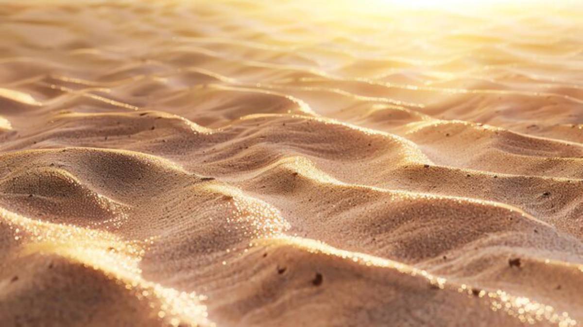 Golden sand dunes glisten softly in the sunlight, showcasing gentle curves and textures.