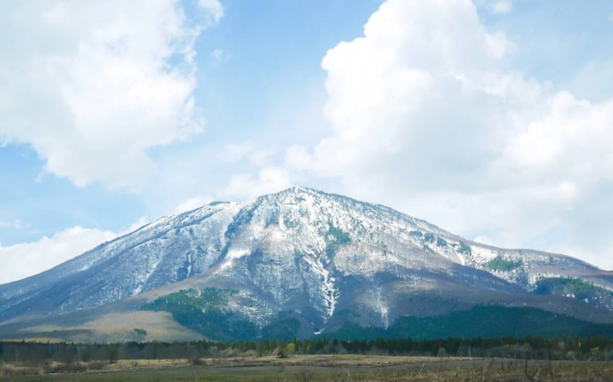Snow-capped mountain peak under a bright sky, surrounded by green forest and grassy plains, reflecting a serene natural landscape.
