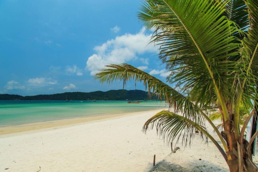 A serene beach scene featuring a palm tree, soft white sand, and tranquil turquoise waters under a blue sky dotted with clouds.
