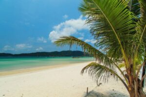 A serene beach scene featuring a palm tree, soft white sand, and tranquil turquoise waters under a blue sky dotted with clouds.