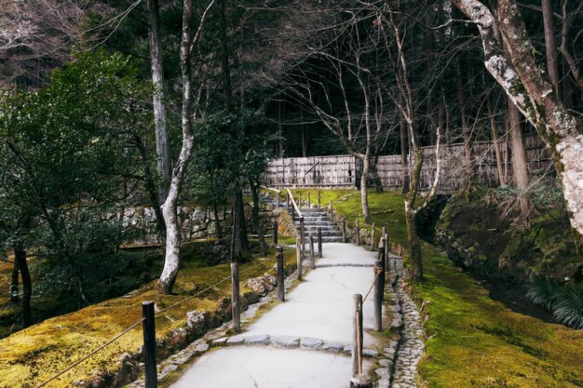A serene stone pathway meanders through a lush, green garden, bordered by trees and a wooden fence in a peaceful natural setting.