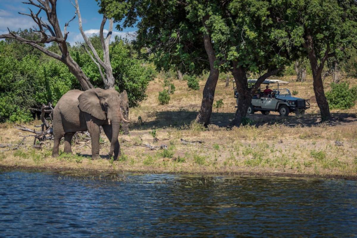 An elephant grazes by the water's edge while a safari vehicle waits nearby under shaded trees in a natural landscape.